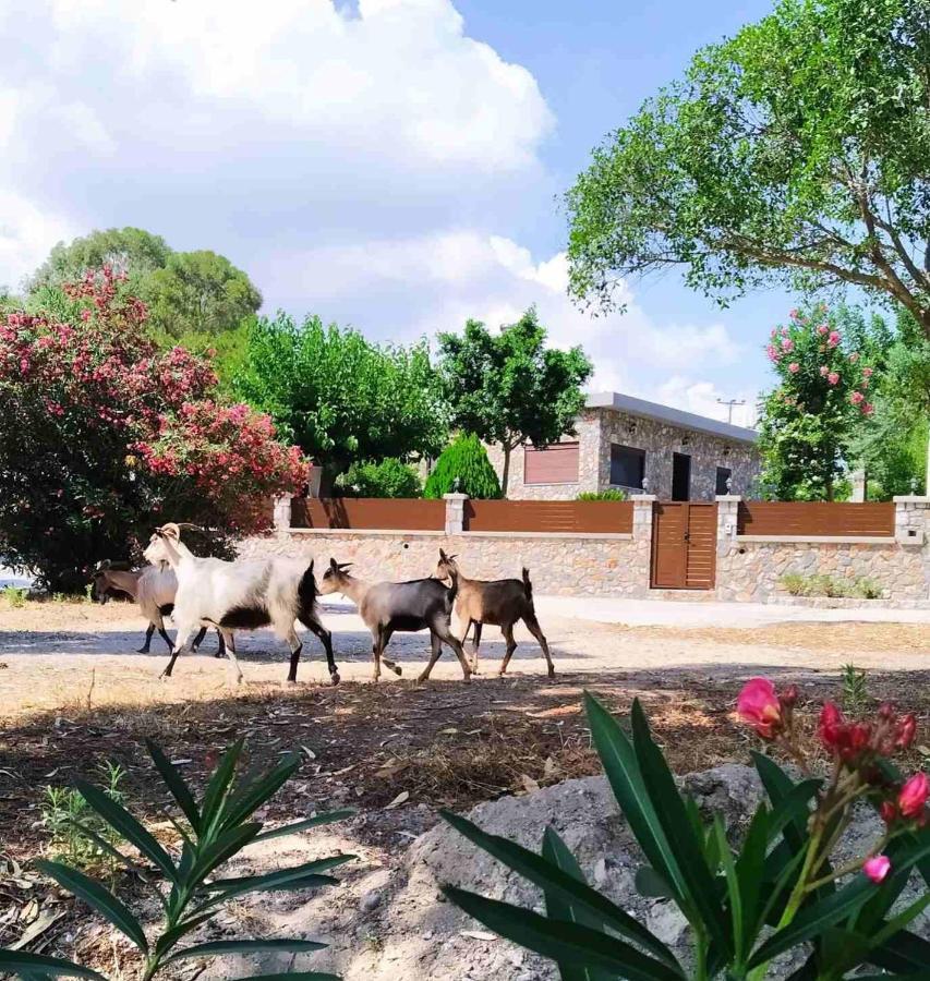 Aithonas Villa อาร์คานเยโลส ภายนอก รูปภาพ