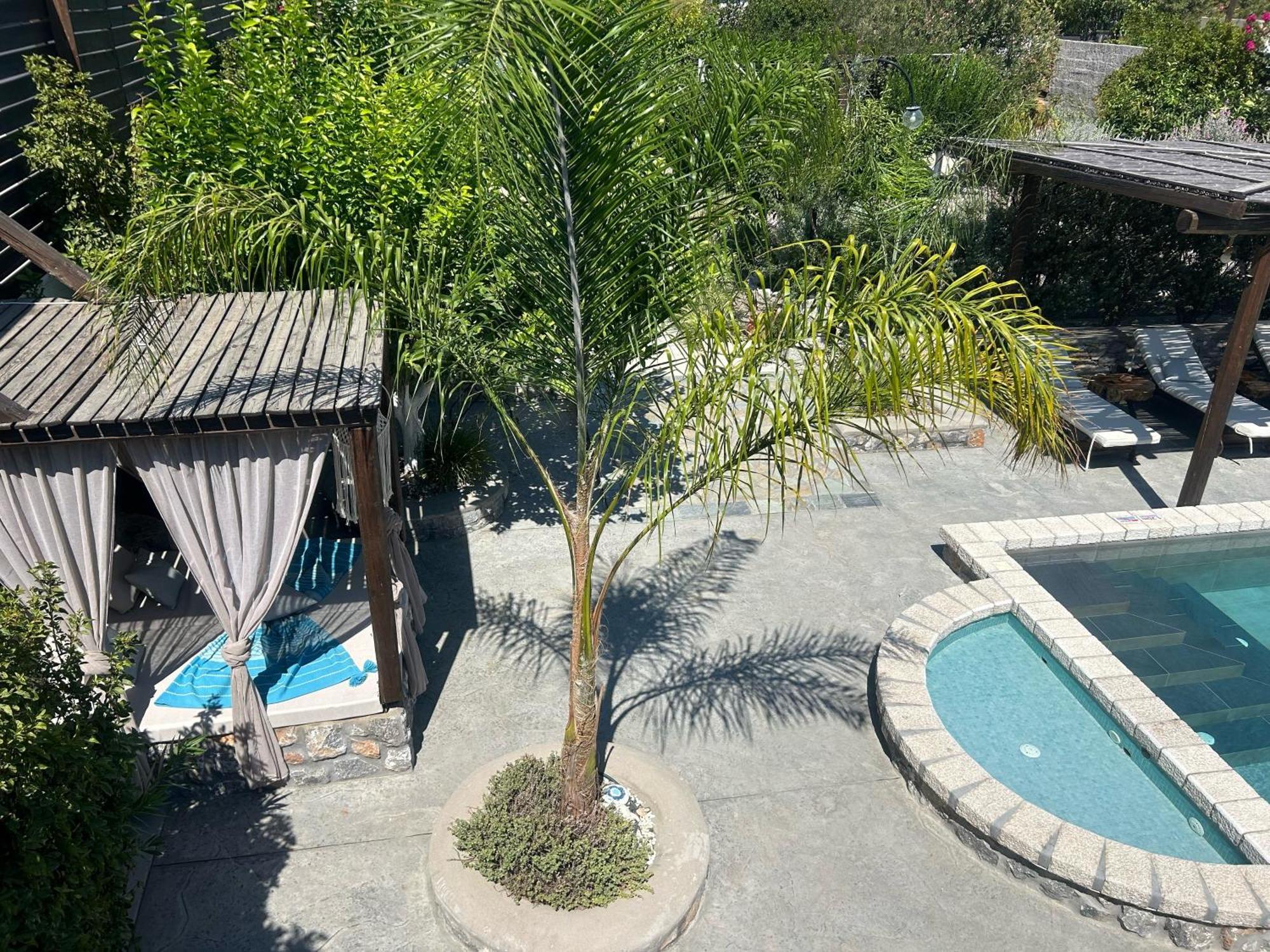 Aithonas Villa อาร์คานเยโลส ภายนอก รูปภาพ